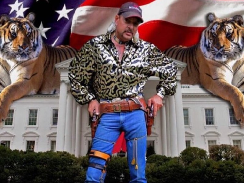 Welcome to the&nbsp;Jungle